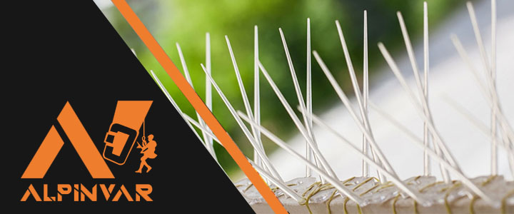 zakładanie zabezpieczeń przeciw ptakom