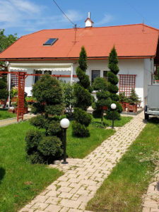 malowanie dachu w domu jednorodzinnym