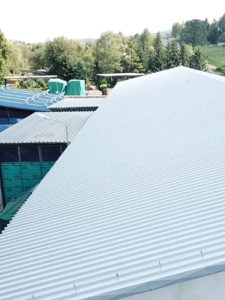 malowanie dachu hali produkcyjnej