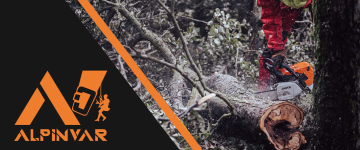 usuwanie wiatrołomów